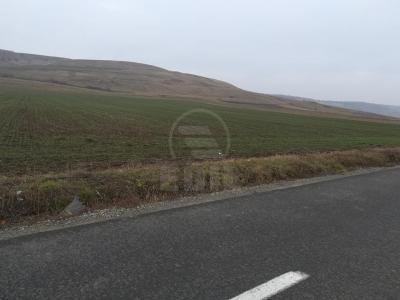 Land for sale, TECJ231248FLO-5