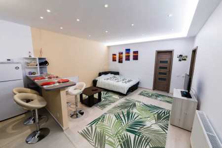 Apartment for rent 2 rooms, APCJ293089-7