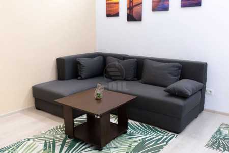 Apartment for rent 2 rooms, APCJ293089-9