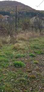 Land for sale, TECJ232852FLO-3