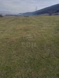 Land for sale, TECJ233085FLO-2