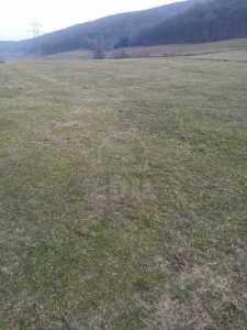 Land for sale, TECJ233085FLO-4