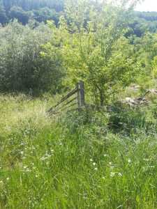 Land for sale, TECJ233466FLO-3