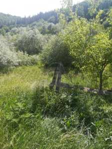 Land for sale, TECJ233466FLO-6