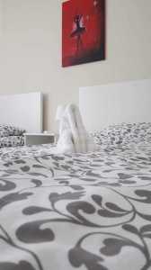 House for rent 3 rooms, CACJ300824-3