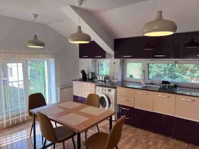 Apartment for rent 3 rooms, APCJ302819-6