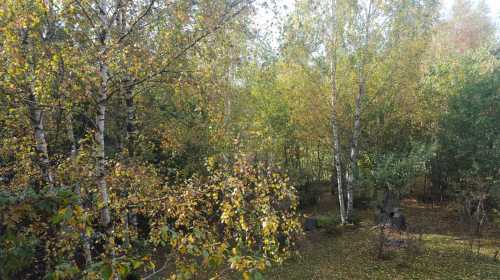 Chalet for sale 8 rooms, CBCJ314821-8