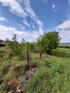 Land for sale, TECJ237336FLO-2