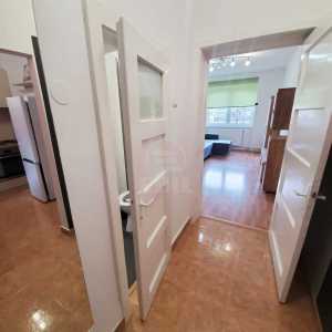Apartment for rent 2 rooms, APCJ317904-13