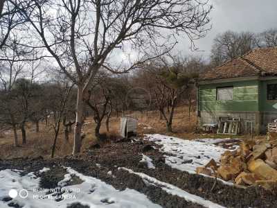 Land for sale, TECJ239693FLO-3