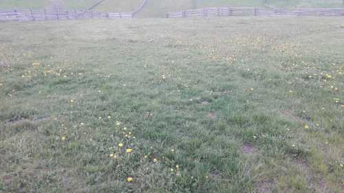 Land for sale, TECJ240965FLO-2