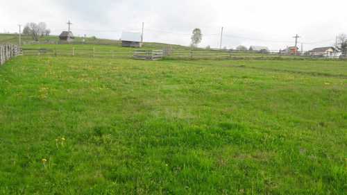 Land for sale, TECJ240965FLO-3