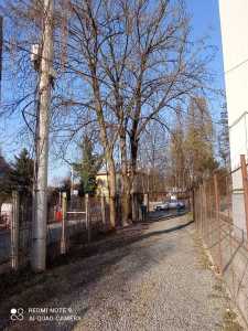 House for sale 3 rooms, CACJ324969-11