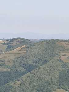 Land for sale, TECJ240864FLO-13