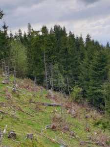 Land for sale, TECJ240864FLO-16