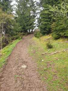 Land for sale, TECJ240864FLO-17