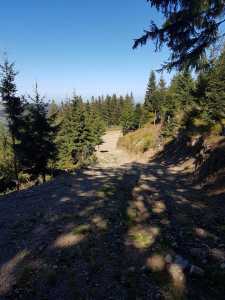 Land for sale, TECJ240864FLO-8