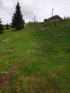 Land for sale, TECJ240864FLO-19