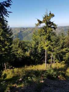 Land for sale, TECJ240864FLO-3