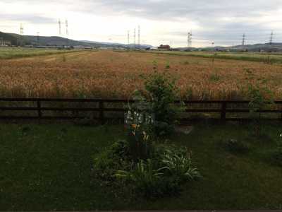 Apartment for sale 2 rooms, APCJ240912FLO-9