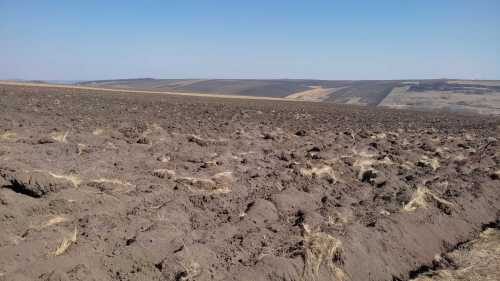 Land for sale, TECJ328403-6