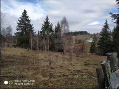 Land for sale, TECJ242046FLO-4