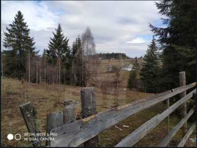 Land for sale, TECJ242046FLO-2