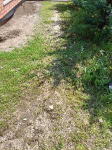 House for sale 5 rooms, CACJ242025FLO-3