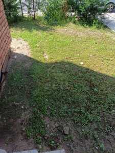 House for sale 5 rooms, CACJ242025FLO-2