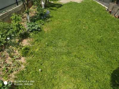 House for sale 7 rooms, CACJ242261FLO-10