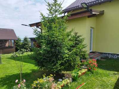 Chalet for sale 4 rooms, CBCJ244209FLO-28