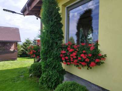 Chalet for sale 4 rooms, CBCJ244209FLO-25