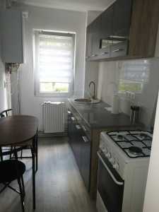 Apartment for rent 2 rooms, APCJ338106-5