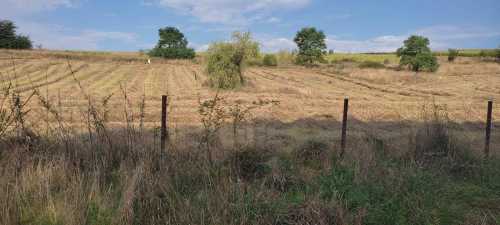 House for sale 5 rooms, CACJ338542-4