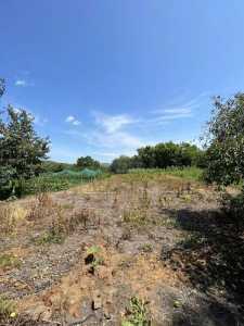 House for sale 2 rooms, CACJ339681-5