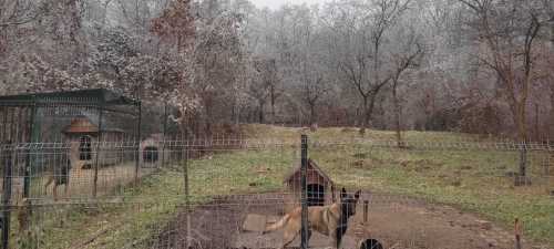 Land for sale, TECJ340196-5