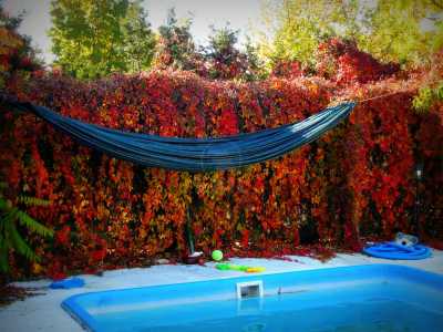 House for sale 6 rooms, CACJ245222FLO-20