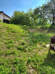 Land for sale, TECJ245220FLO-2