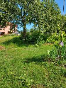 Land for sale, TECJ245220FLO-6