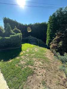 House for sale 5 rooms, CACJ245637FLO-3