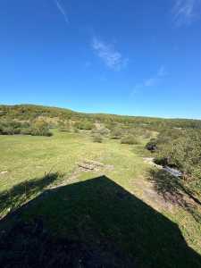 House for sale 4 rooms, CACJ245627FLO-10