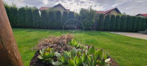 House for sale 4 rooms, CACJ245616FLO-21