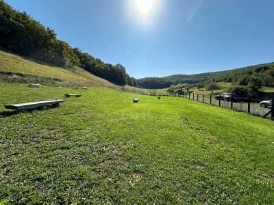 House for sale 5 rooms, CACJ245624FLO-7