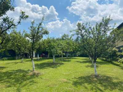 House for rent 8 rooms, CACJ347445-12