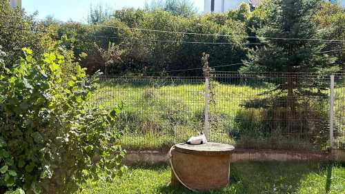 House for sale 4 rooms, CACJ245991FLO-17