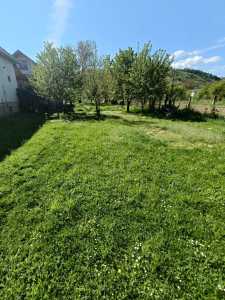 Land for sale, TECJ246353FLO-2