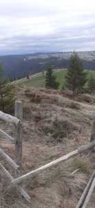 Land for sale, TECJ246415FLO-2