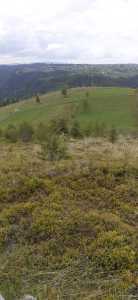 Land for sale, TECJ246415FLO-6