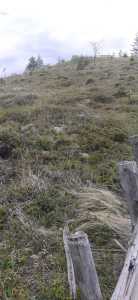 Land for sale, TECJ246415FLO-18