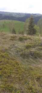 Land for sale, TECJ246415FLO-7